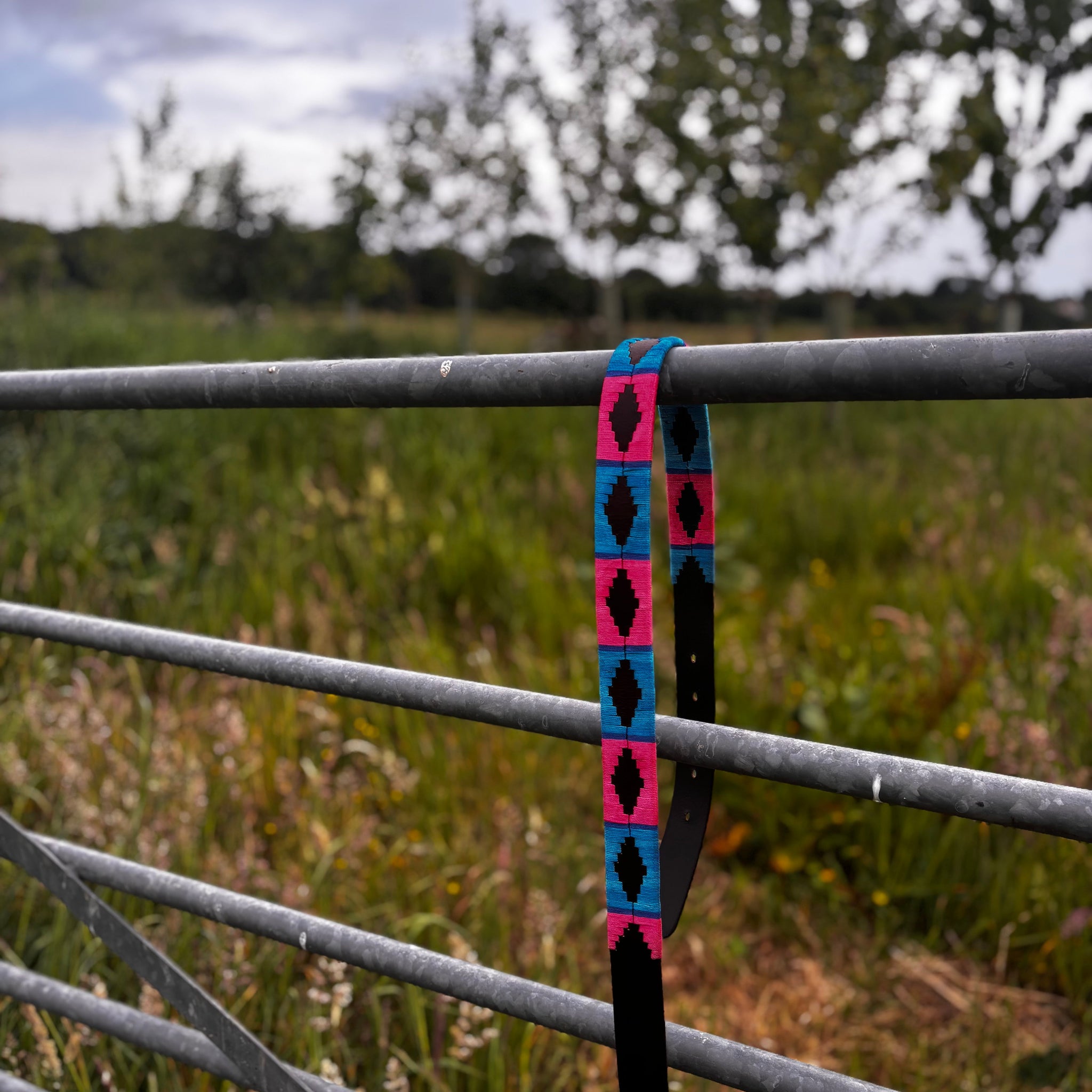 Polo Belt Pink & Blue