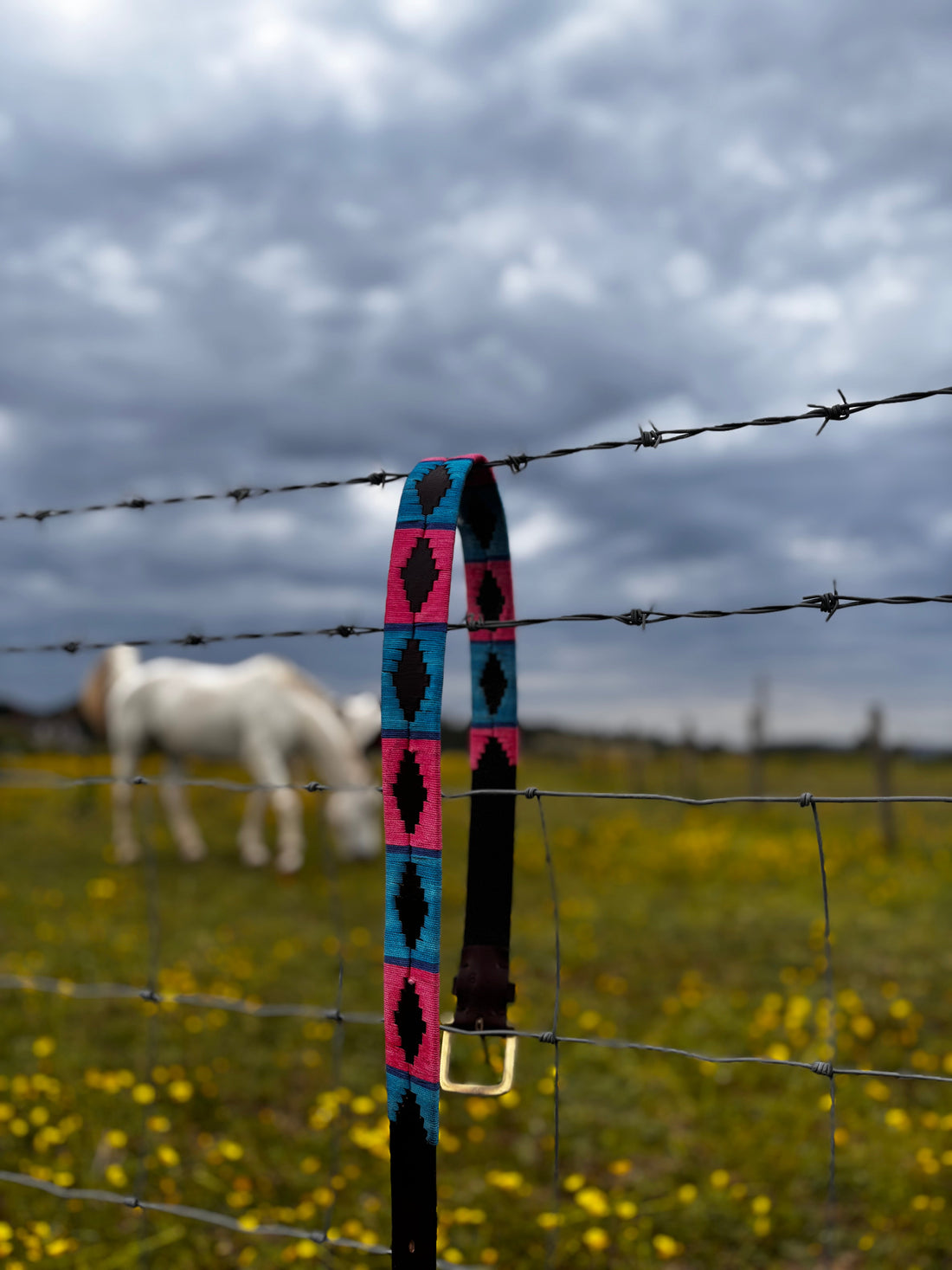 Polo Belt Pink & Blue